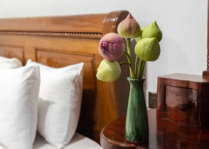Stay Siem Reap 3*