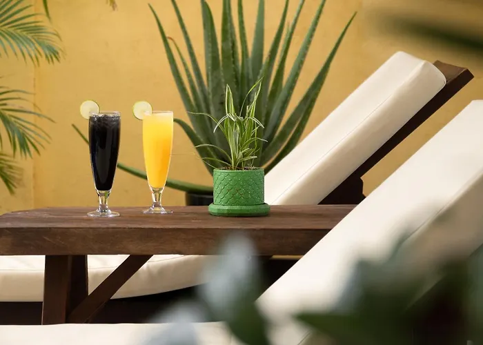 Stay Siem Reap Siem Reap